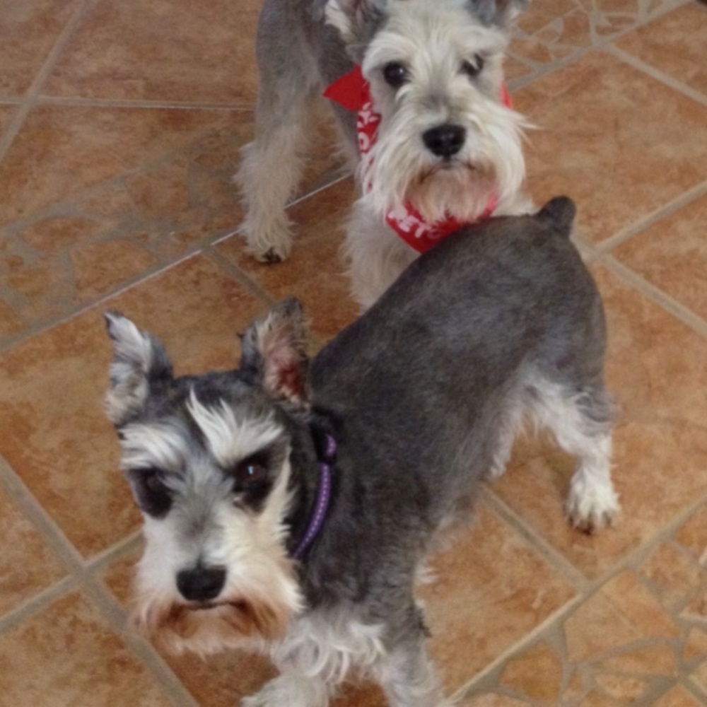 Meet your Posher, Venetta